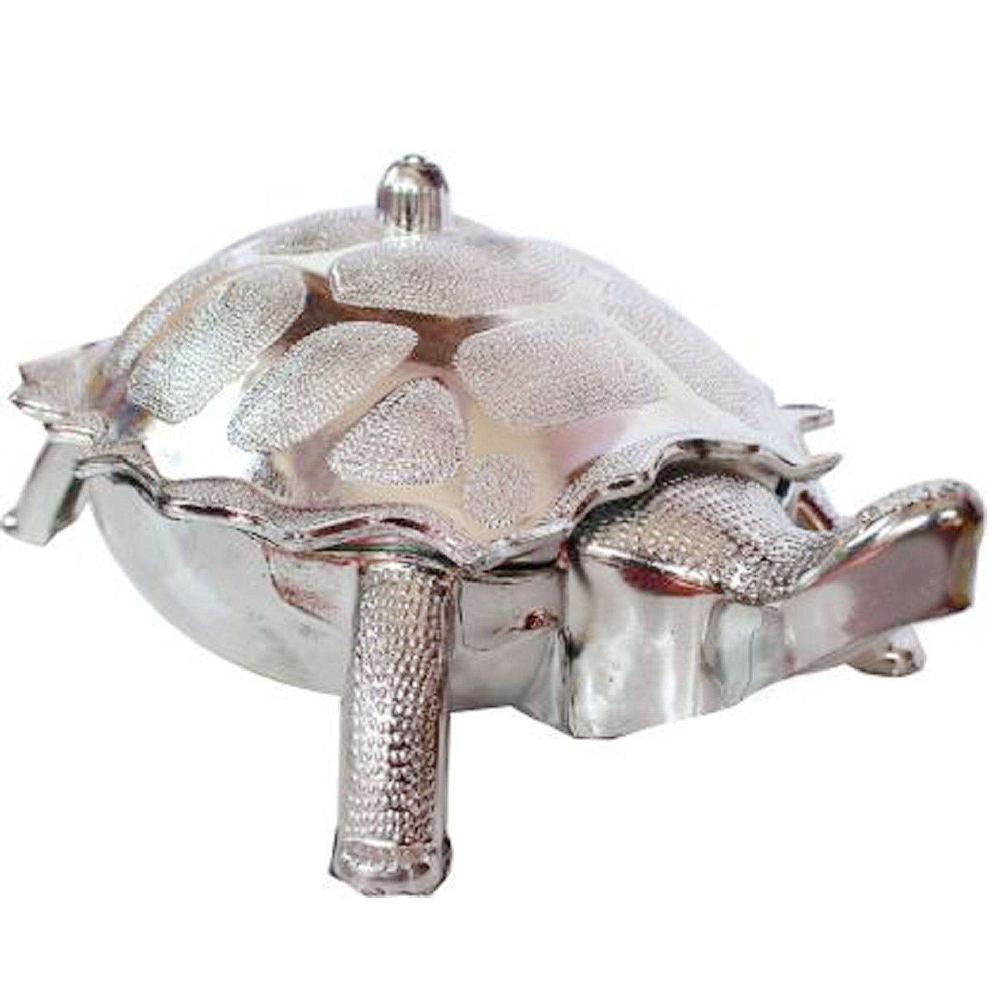 Tortoise Shape Dry Fruit Gift Box