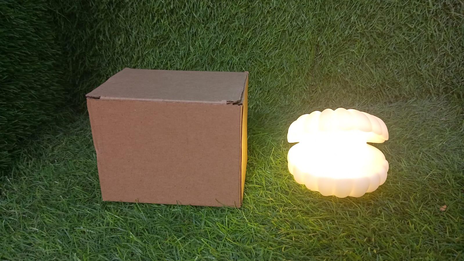 Pearl Shell LED Night Lamp