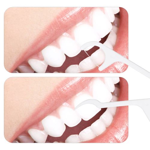 Dual Floss & Toothpick Stick
