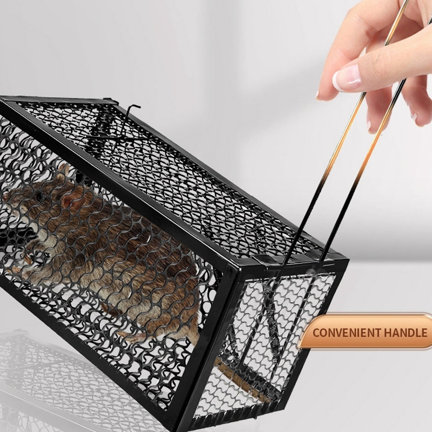 Humane Live Catch Trap