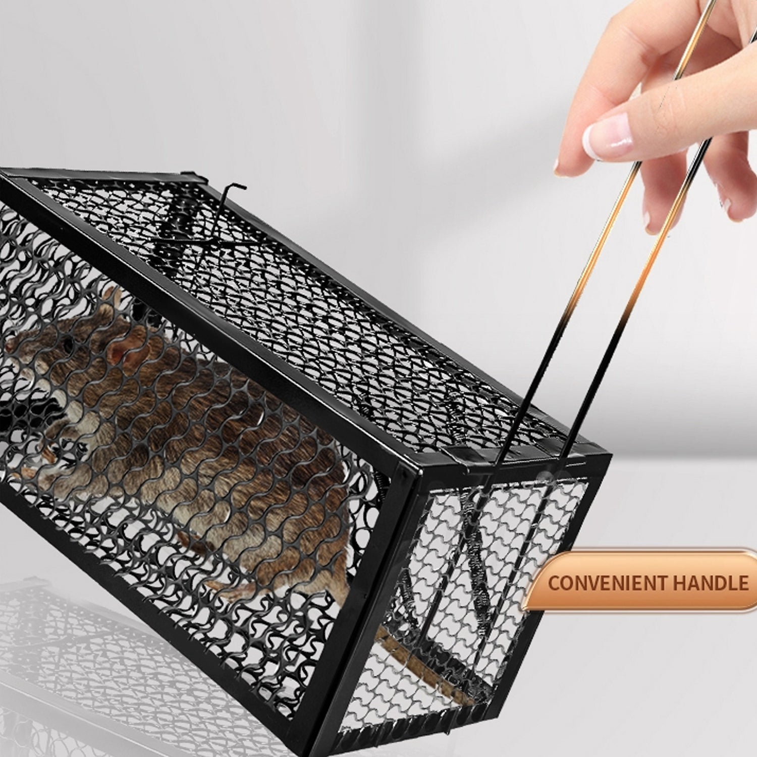 Humane Live Catch Trap