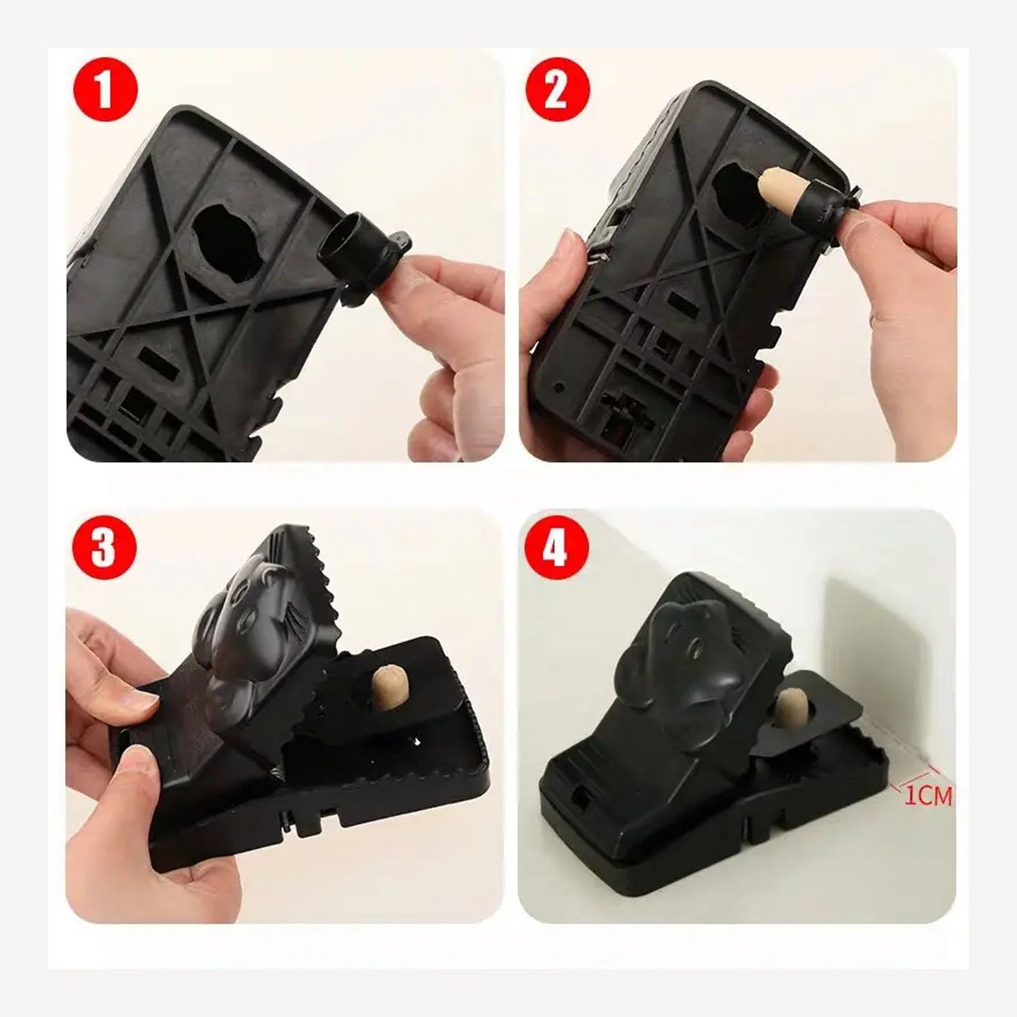 Reusable Rat Trap