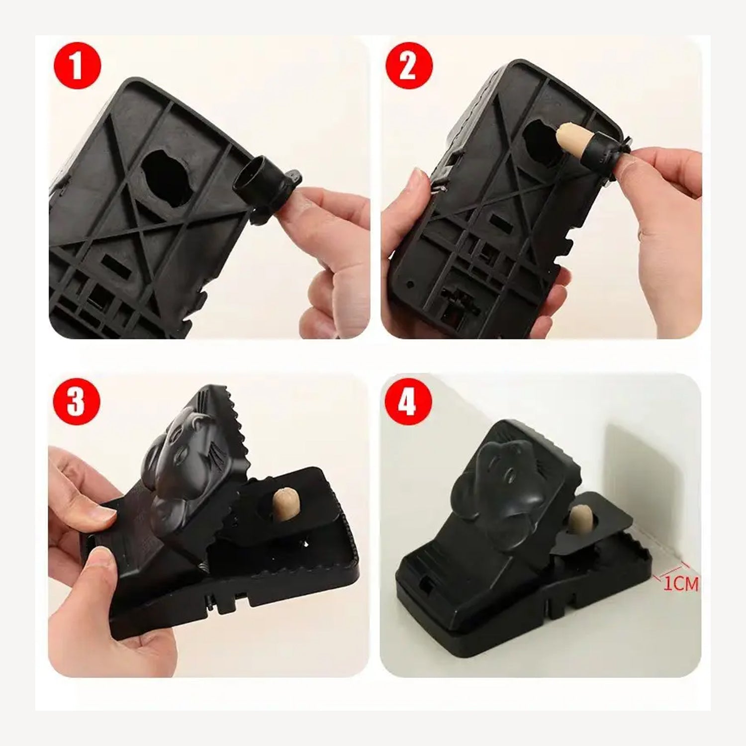 Reusable Rat Trap
