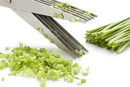 5-Blade Herb Scissors
