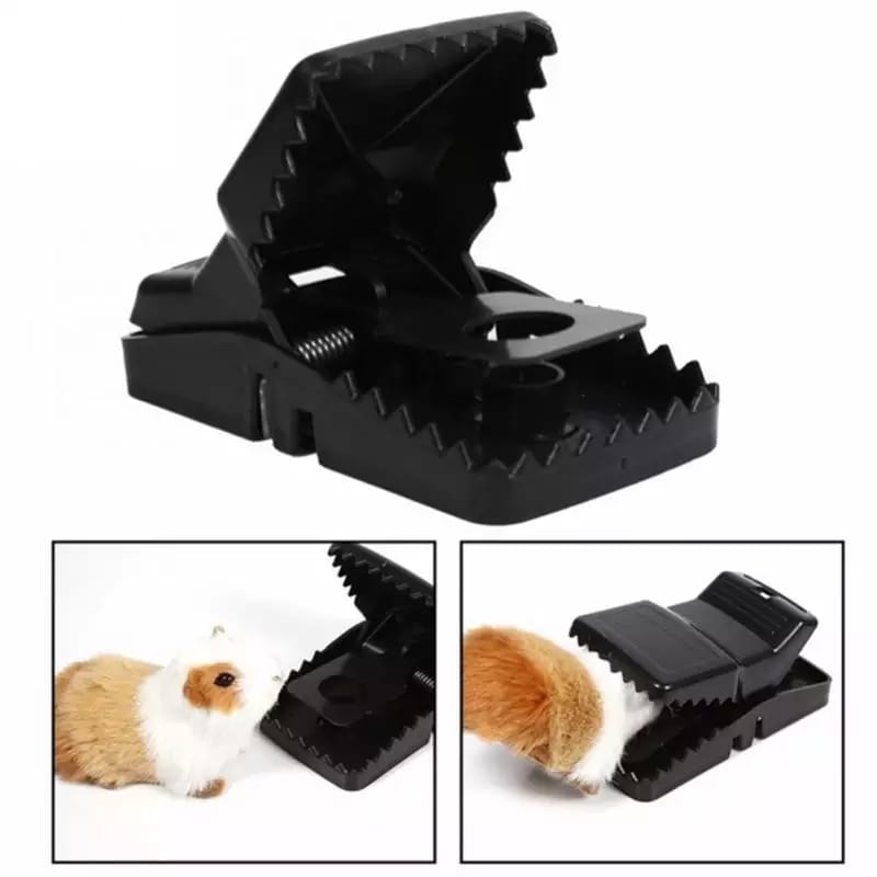 Reusable Rat Trap