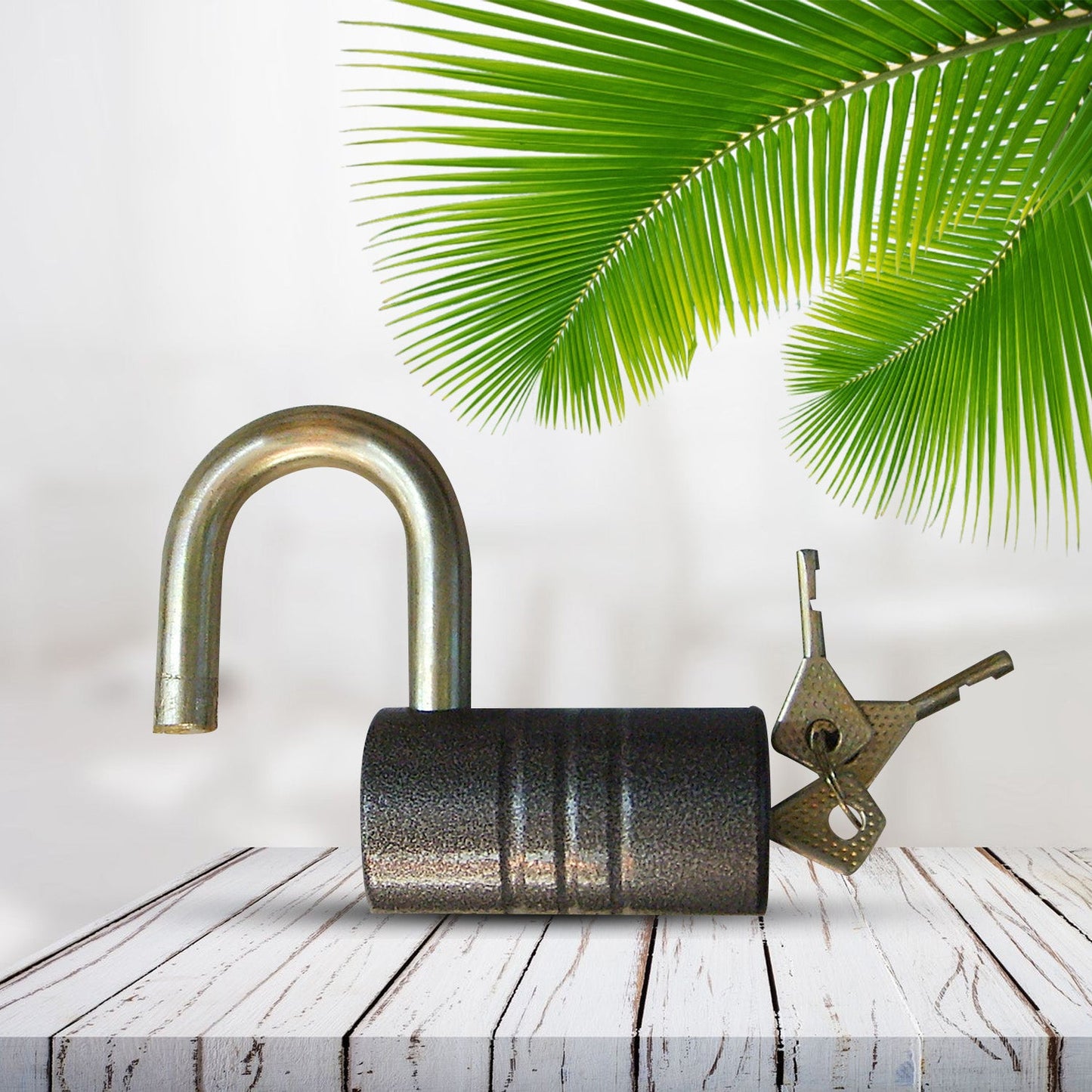 Heavy Duty Iron Padlock