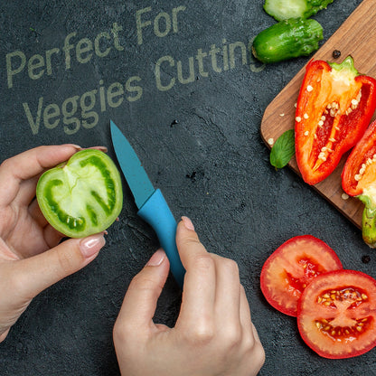 Professional Stainless Knife Set