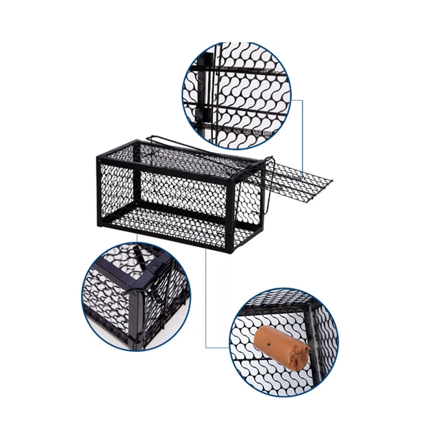 Humane Live Catch Trap