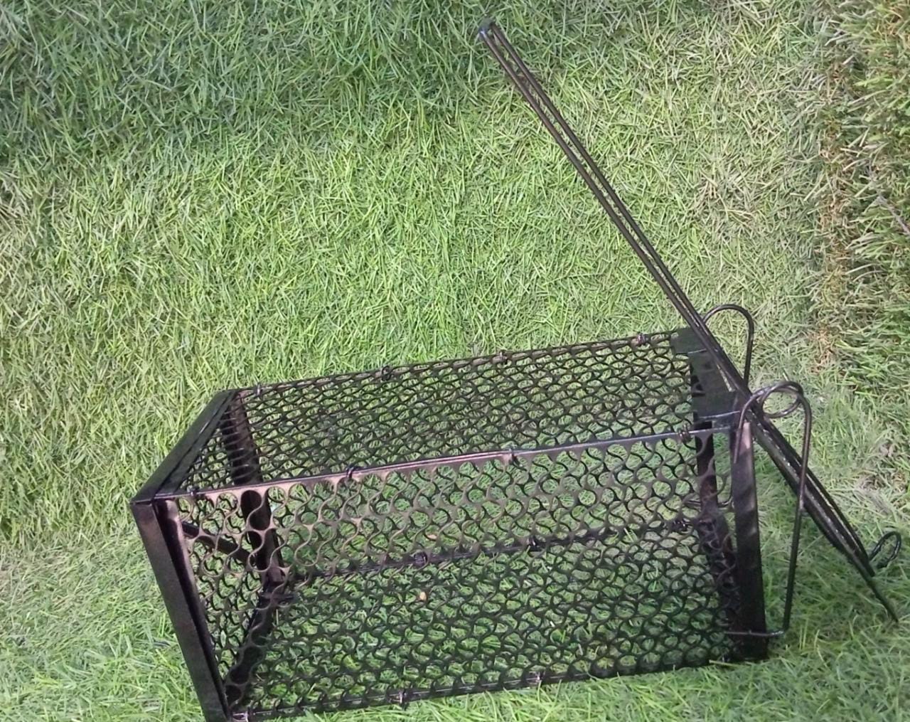 Humane Live Catch Trap