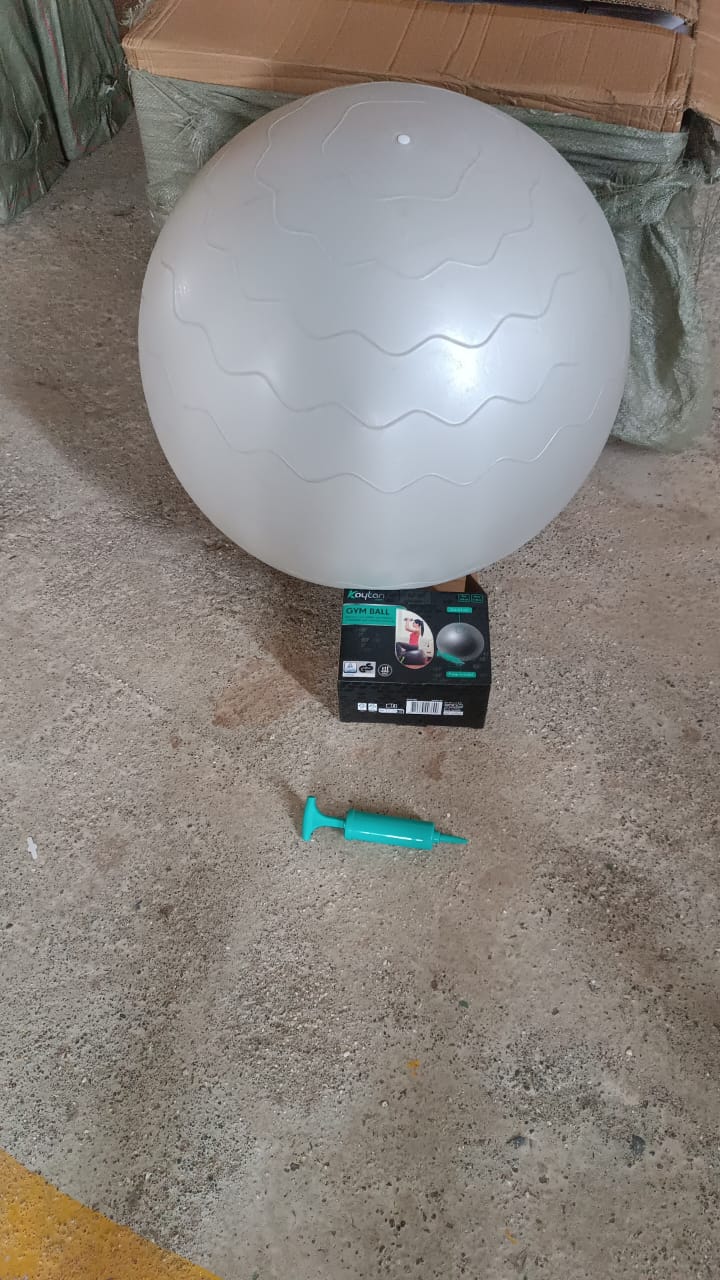 75CM Gym Ball with Pump