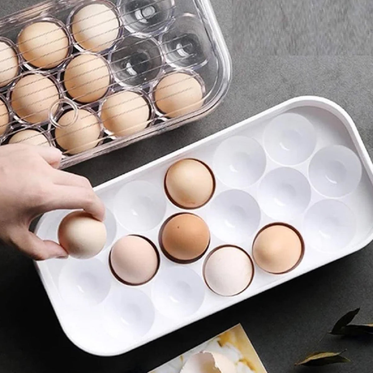 12 Cavity Egg Storage Box