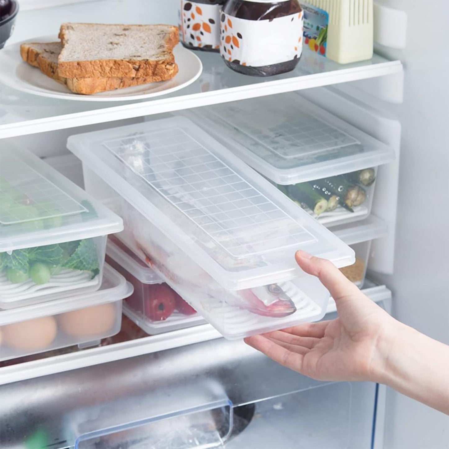Food Storage Container