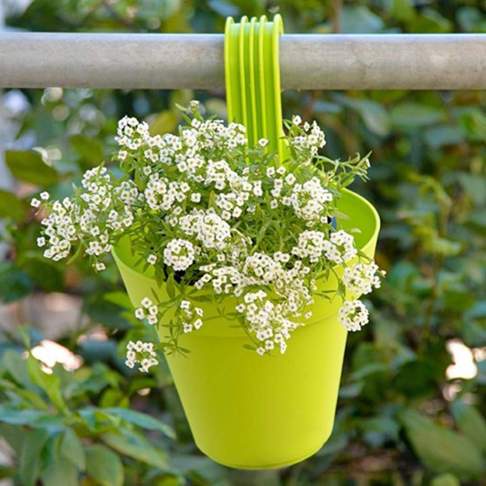 Plastic Hanging Planter Pot