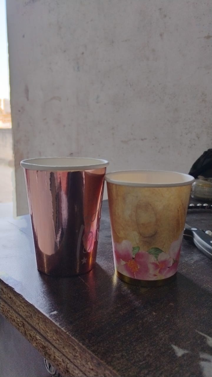 Disposable Paper Tea Coffee Cups