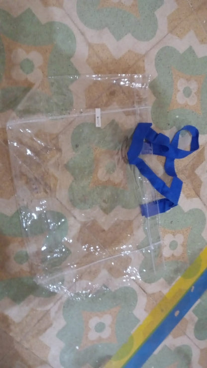 Transparent Gift Bag