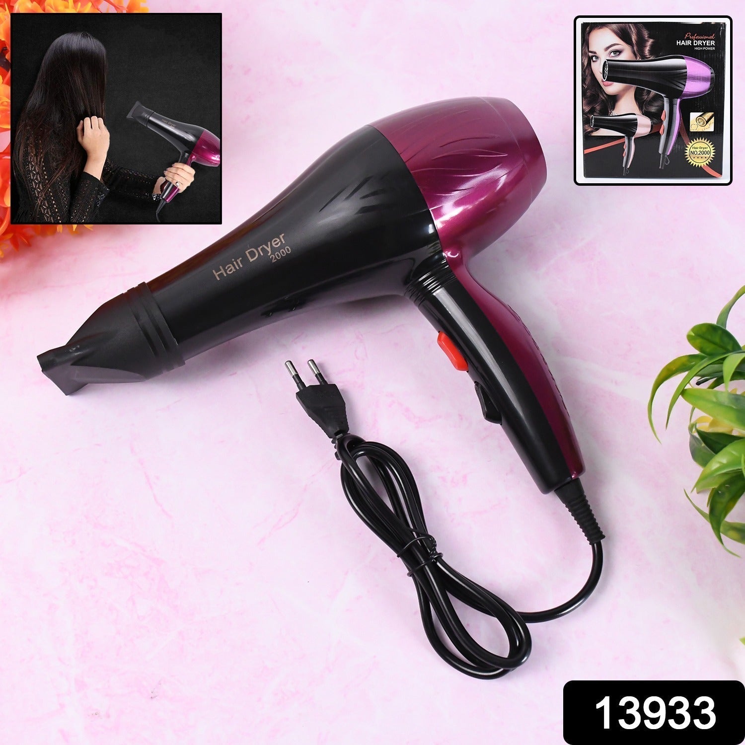 Professional Power Hair Dryer