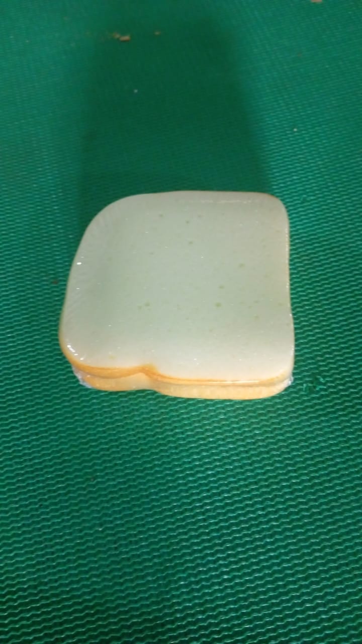 Sandwich Shaped Notepad