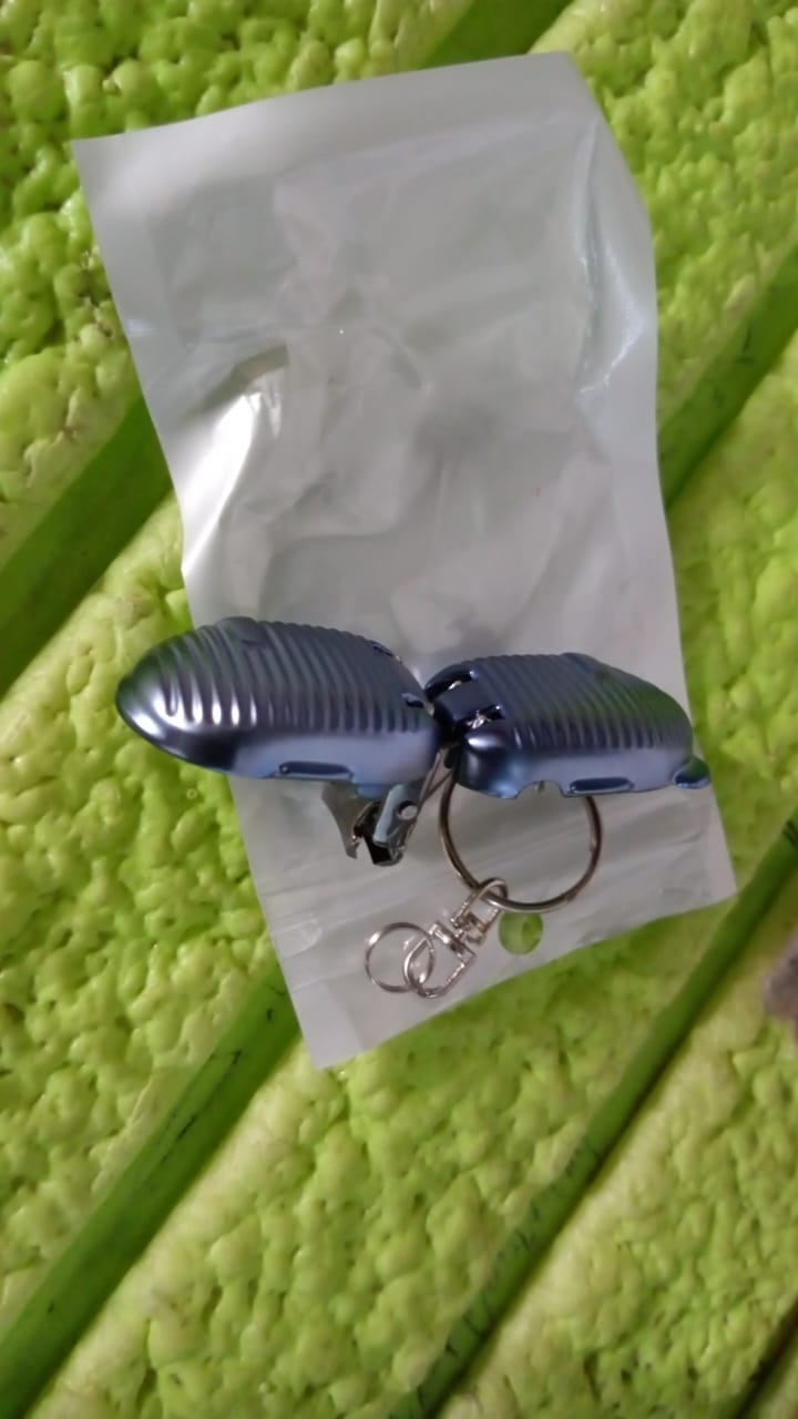 Keychain Foldable Nail Clipper