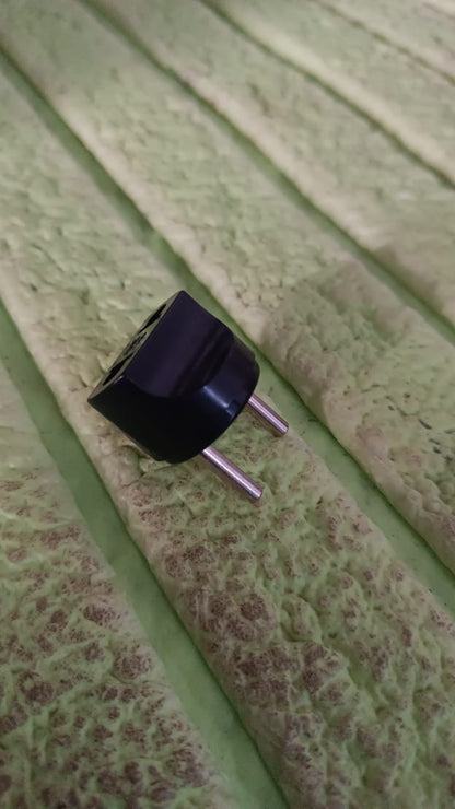 2-Pin Plug Adapter