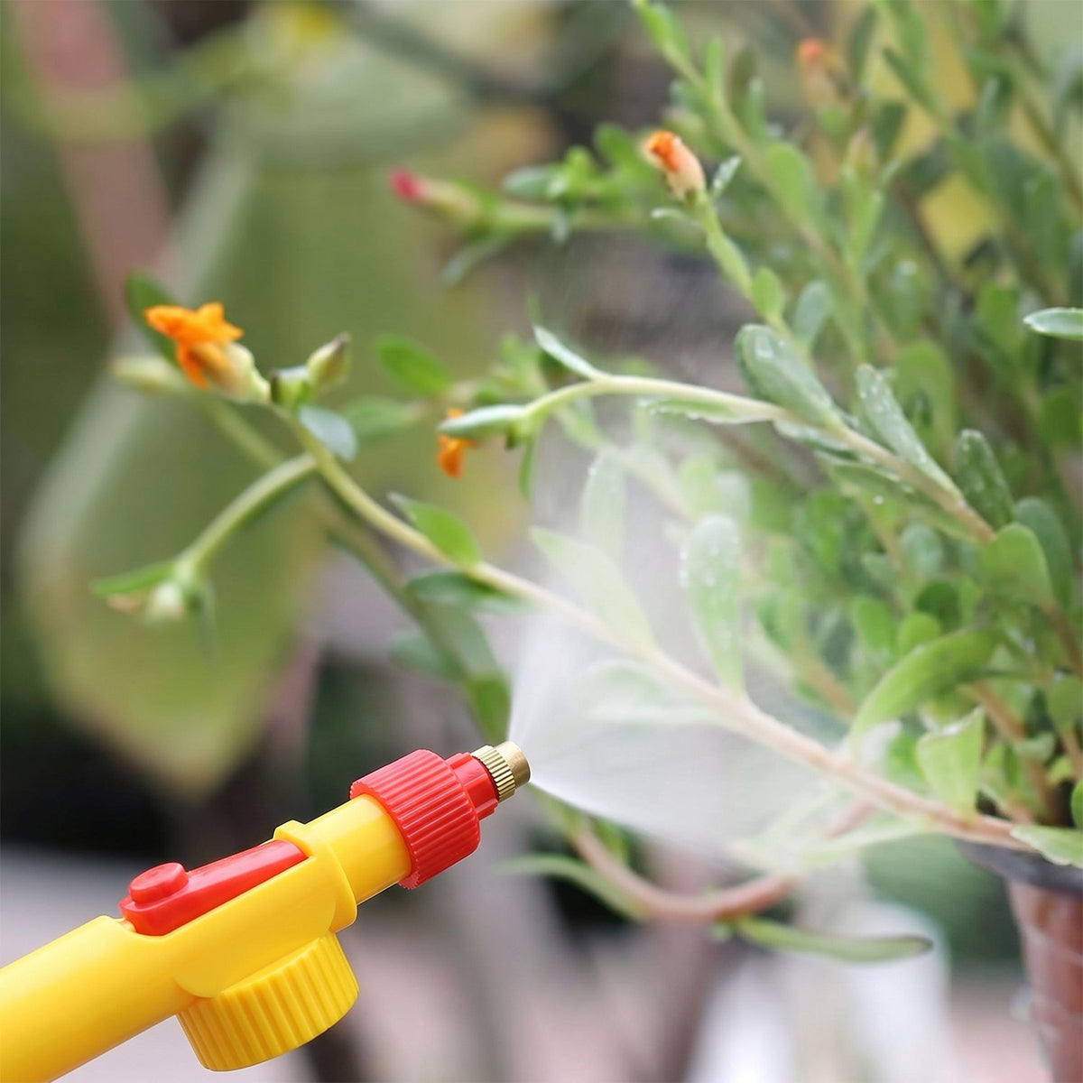 Adjustable Brass Nozzle Sprayer