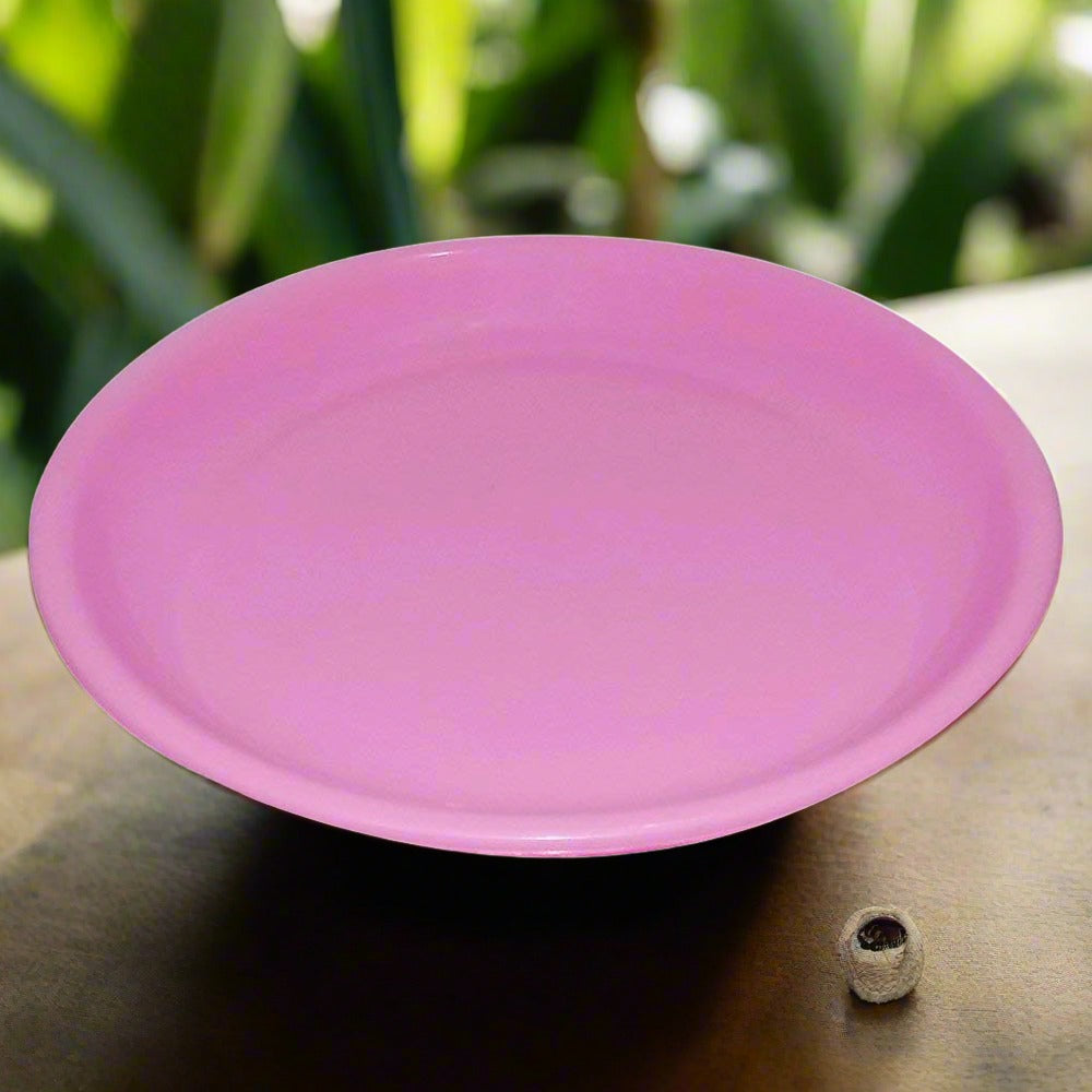 Durable Mini Soup Plates