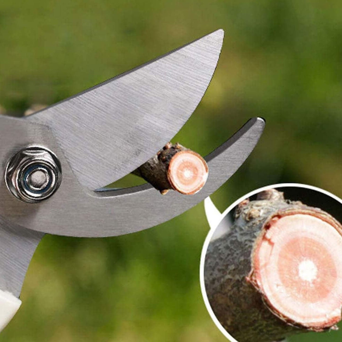 Precision Garden Pruning Shears