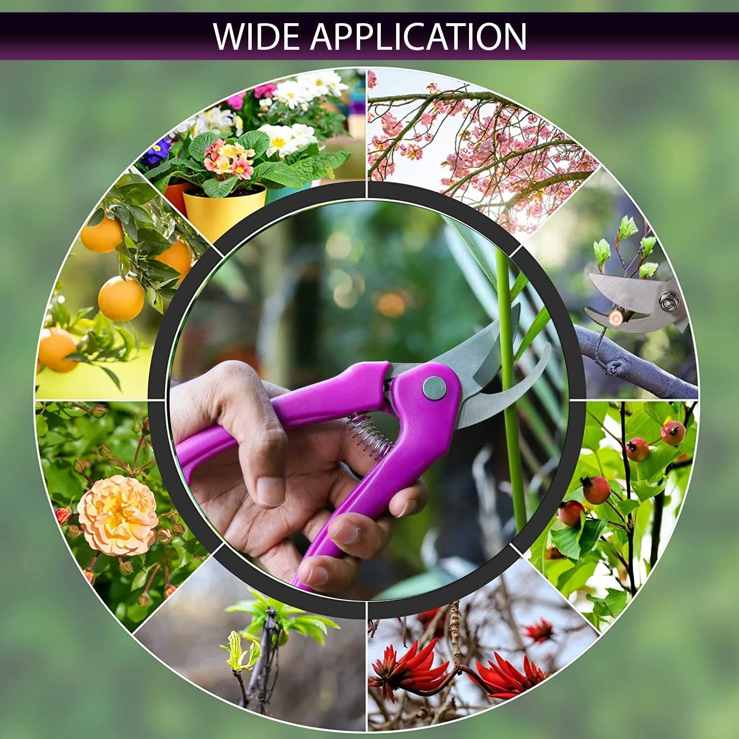 Precision Garden Pruning Shears