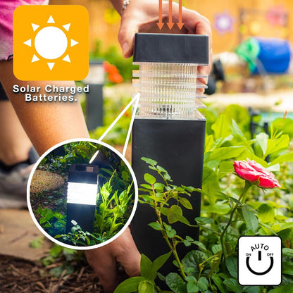 Solar Pathway Garden Lights
