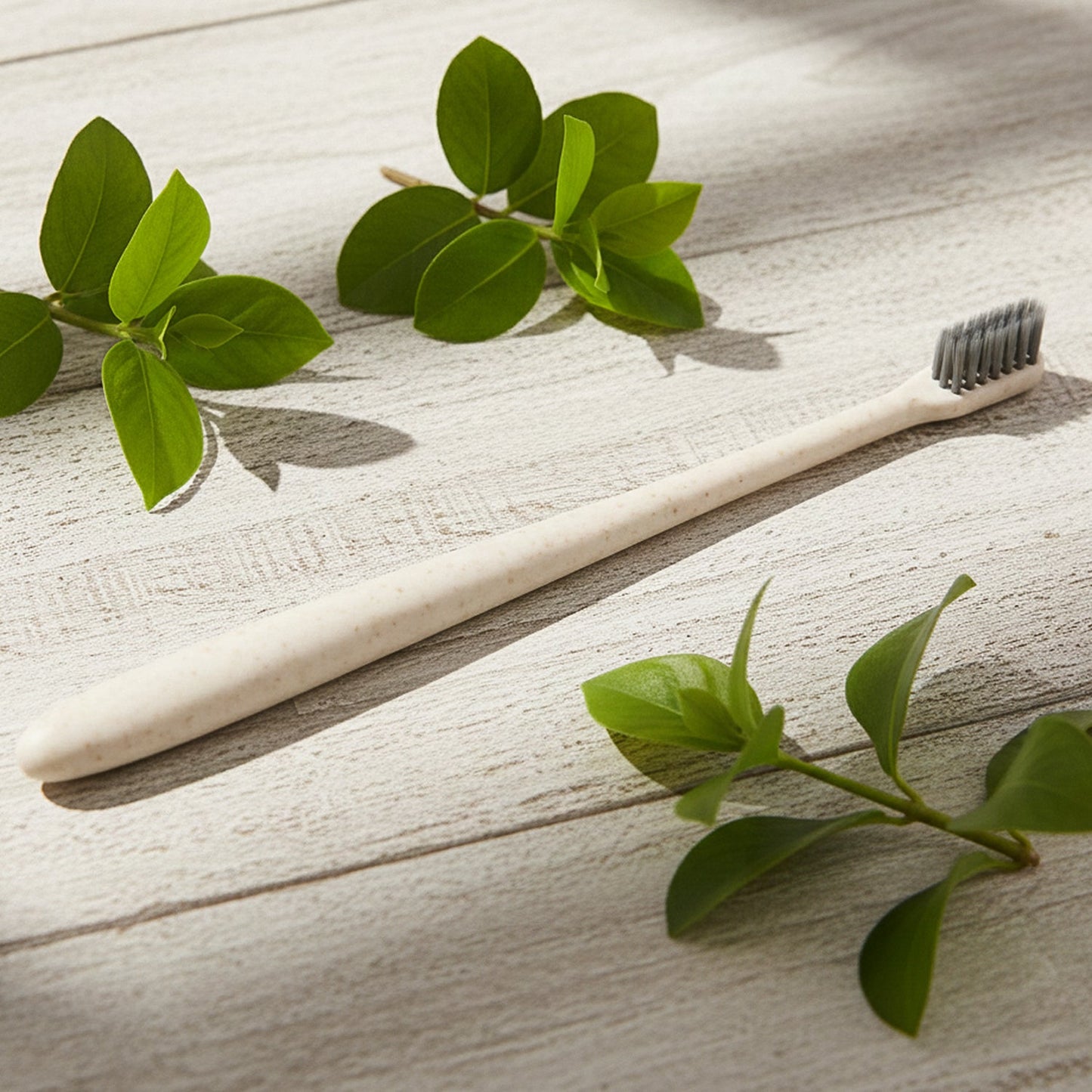 Wheat Straw Toothbrush