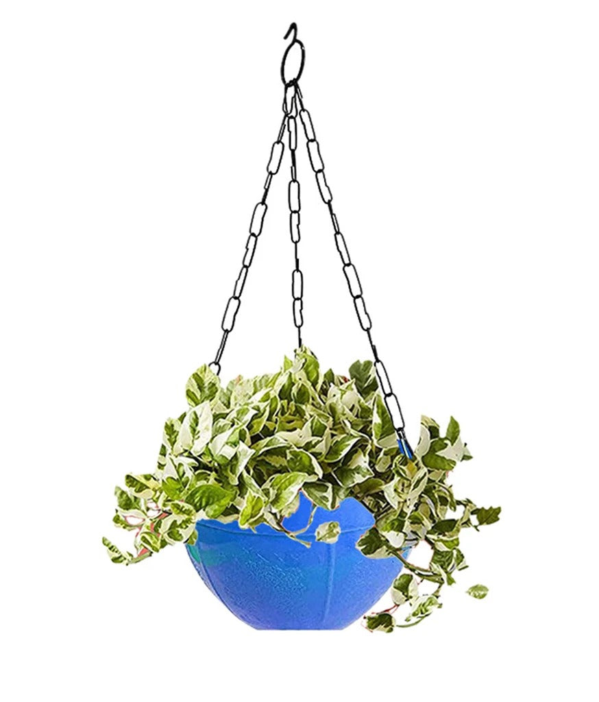 Flower Pot Plant With Hanging
