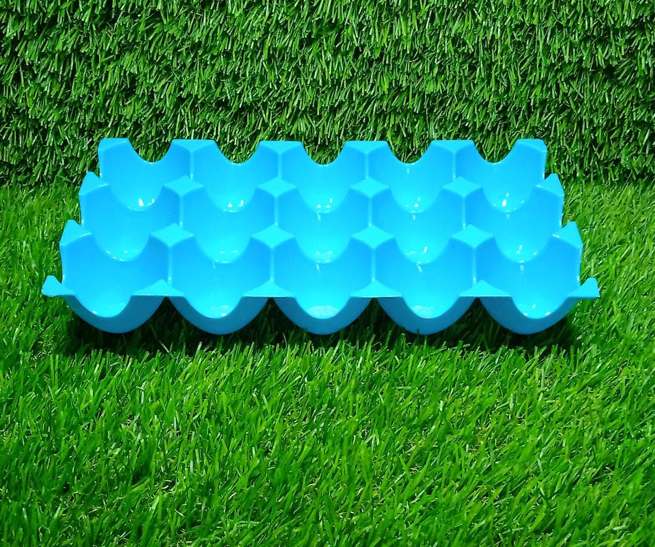 Sturdy 15-Egg Tray