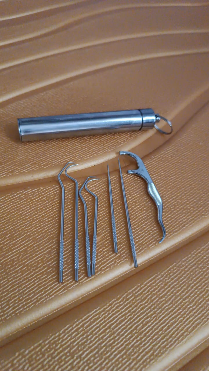 7 In 1 Stainless Steel Toothpick Flossier Set
