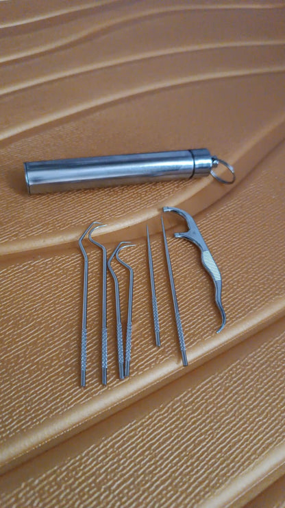 7 In 1 Stainless Steel Toothpick Flossier Set
