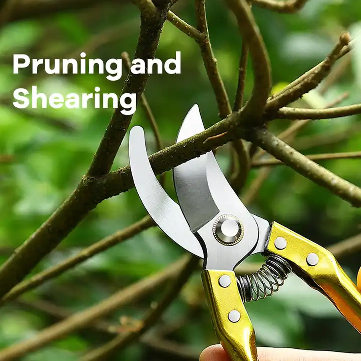 Garden Shears Pruners Scissor (1 Pc)