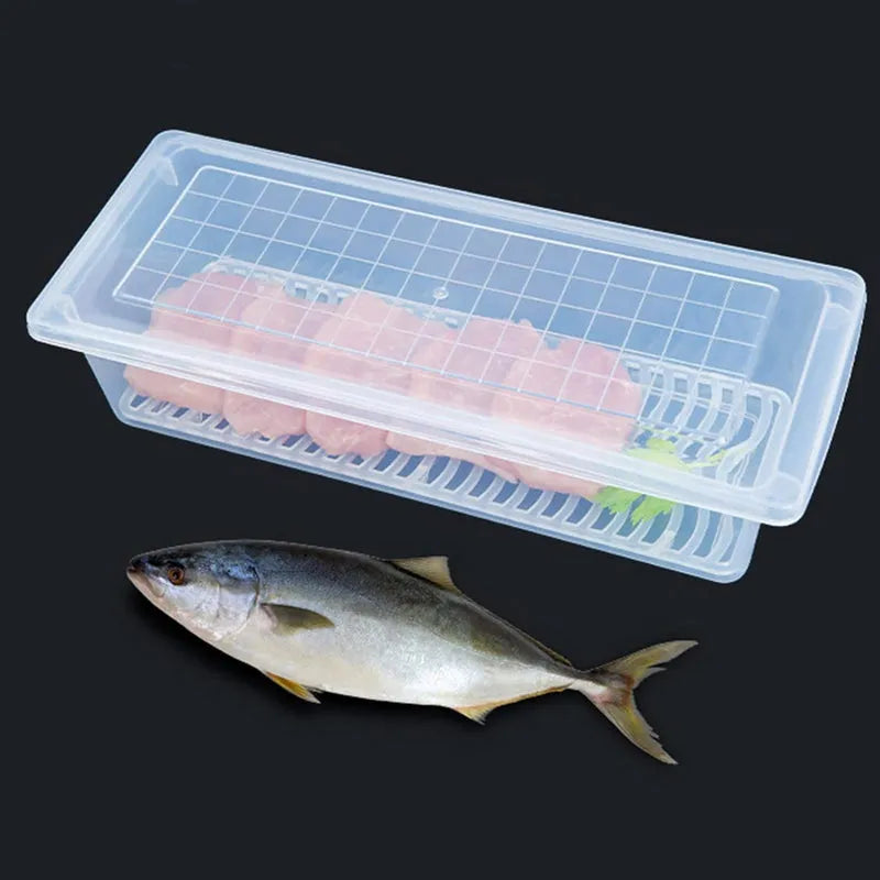 Clear rectangular food storage container with grid base and fish inside