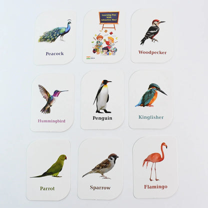 Bird flashcards with labeled bird illustrations: Peacock, Woodpecker, Penguin, flamingo.