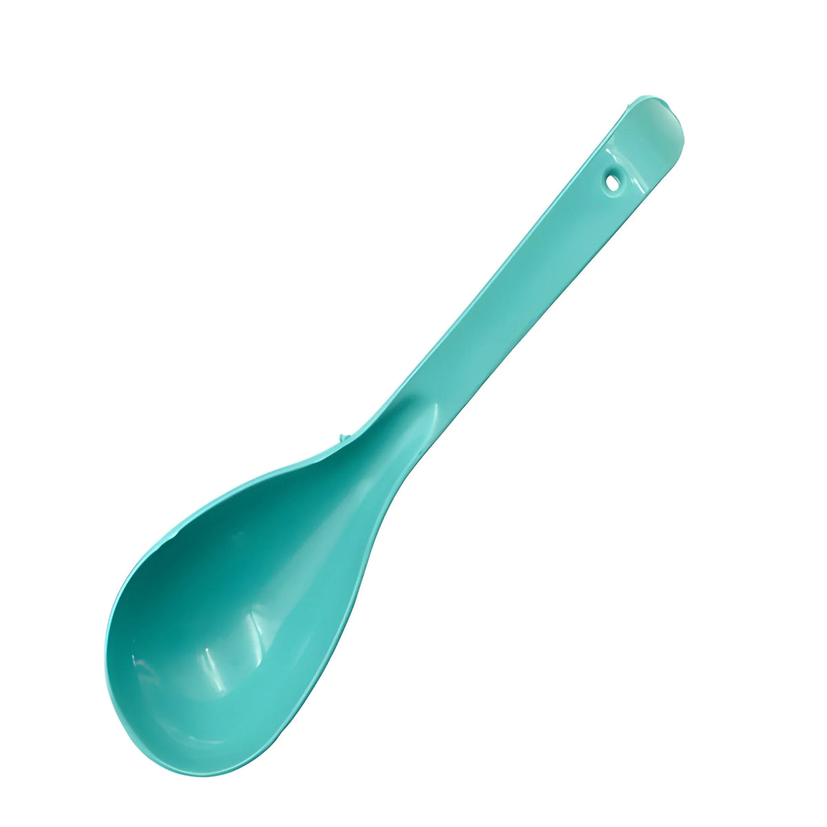 Teal plastic serving spoon with oval bowl and hanging hole