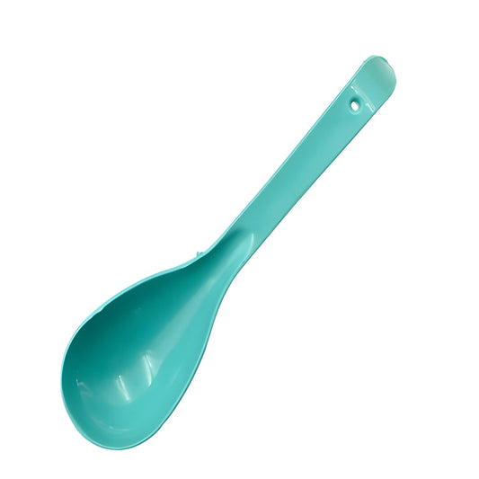 Teal plastic serving spoon with oval bowl and hanging hole