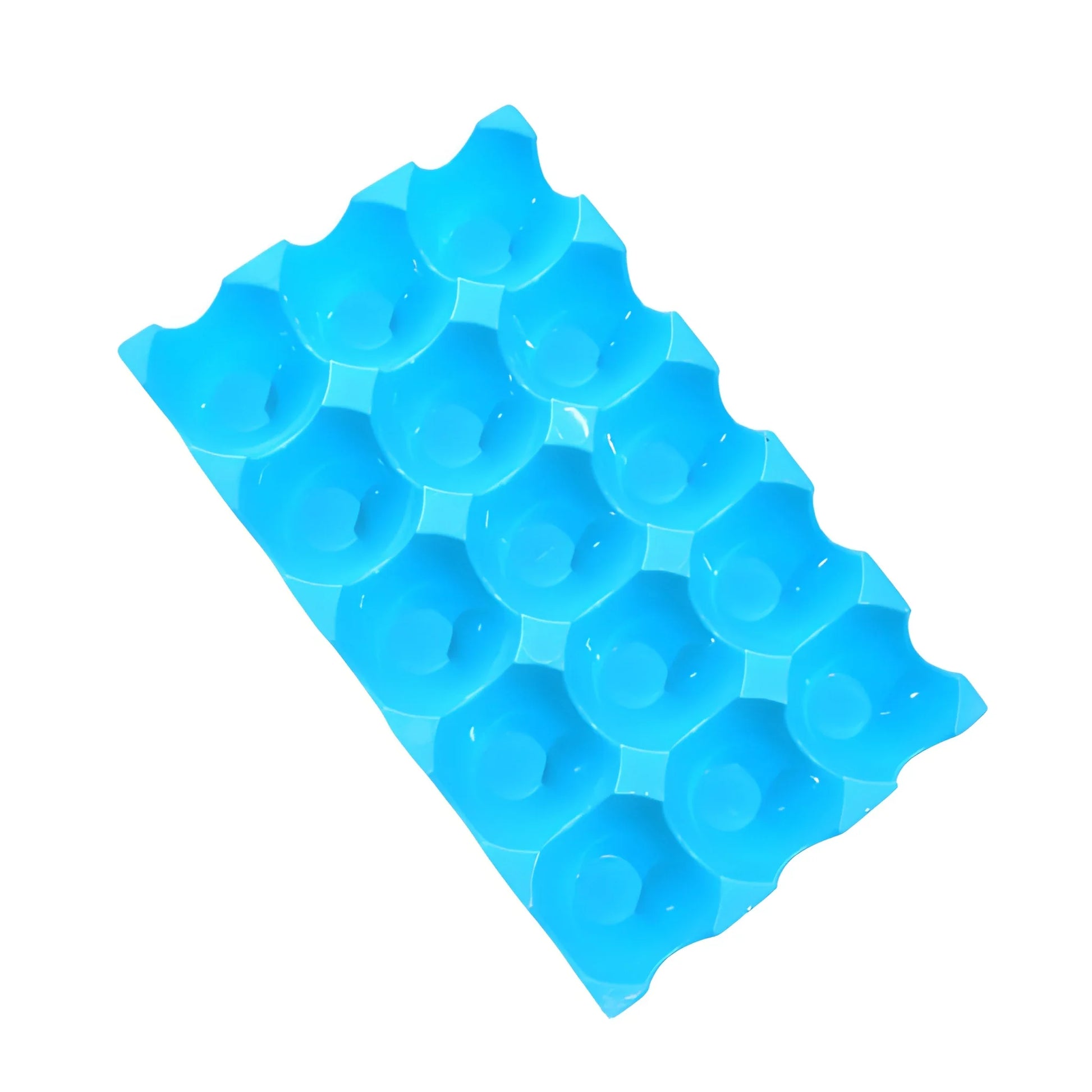 Blue 15-egg tray with individual molded egg cups