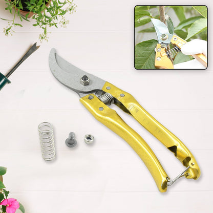 Garden Shears Pruners Scissor (1 Pc)